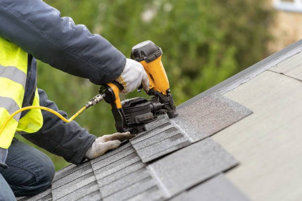 Best Roof Moss and Algae Removal  in Babson Park, FL