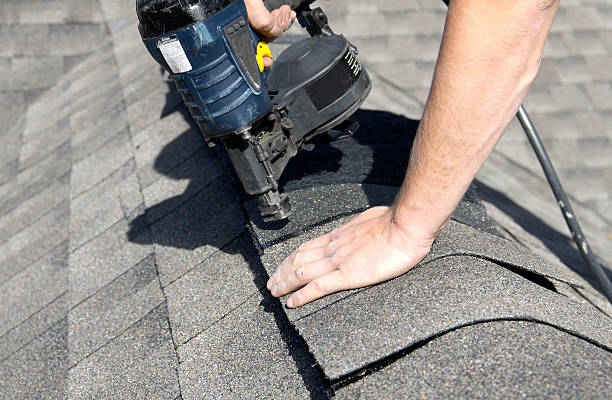 Best Skylight Installation and Repair  in Babson Park, FL